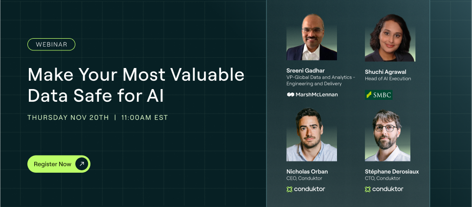 Make Your Most Valuable Data Safe for AI